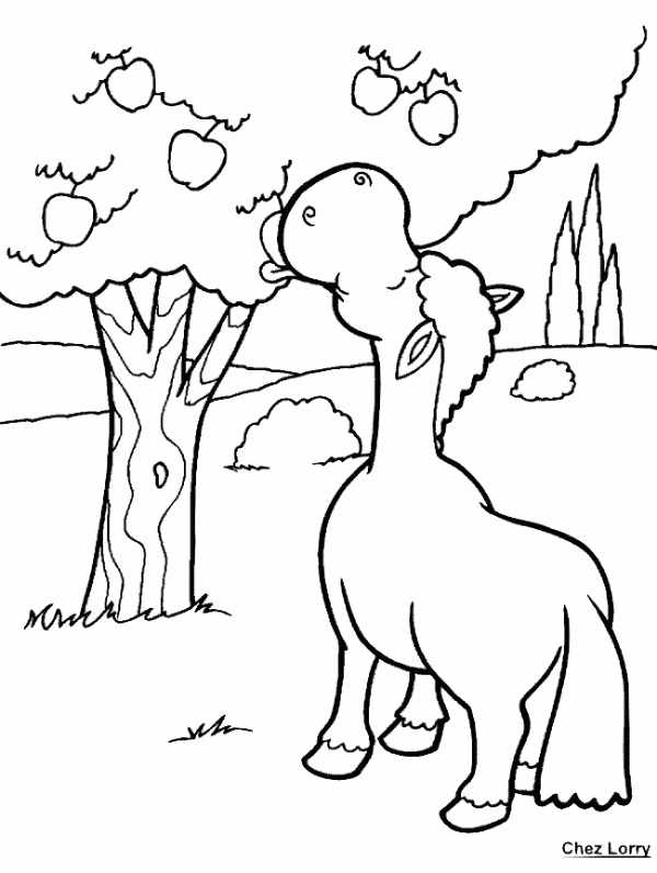 Dibujo para colorear: Manzano (Naturaleza) #163454 - Dibujos para Colorear e Imprimir Gratis