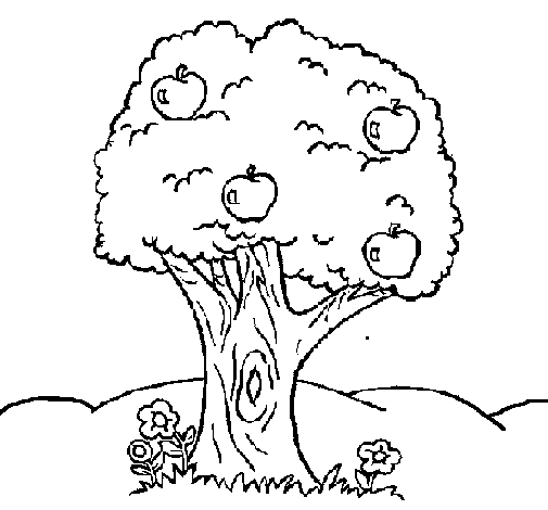 Dibujo para colorear: Manzano (Naturaleza) #163757 - Dibujos para Colorear e Imprimir Gratis