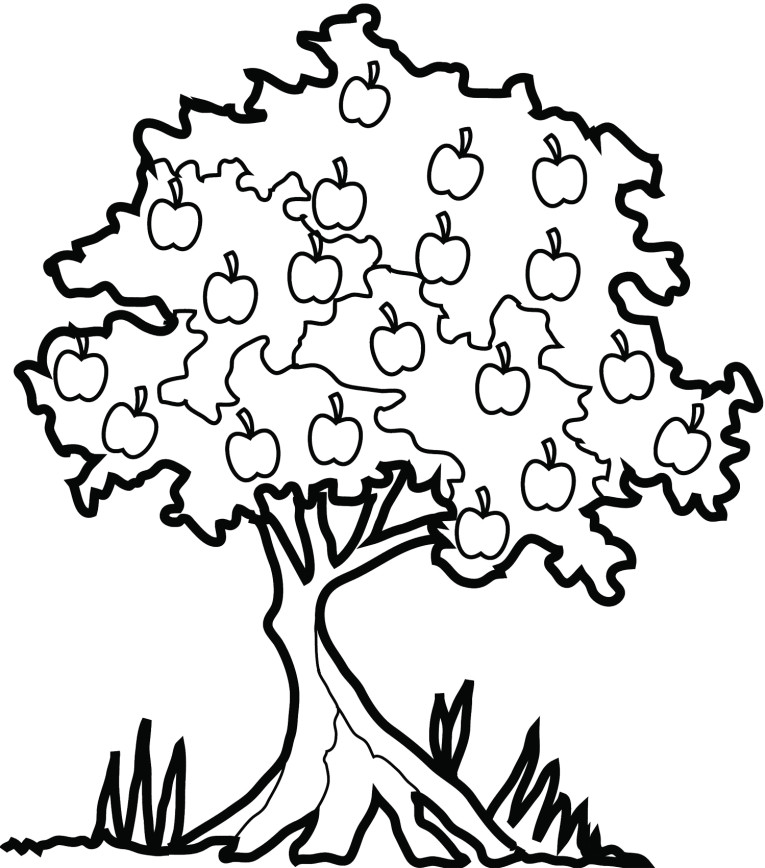 Dibujo para colorear: Manzano (Naturaleza) #163810 - Dibujos para Colorear e Imprimir Gratis