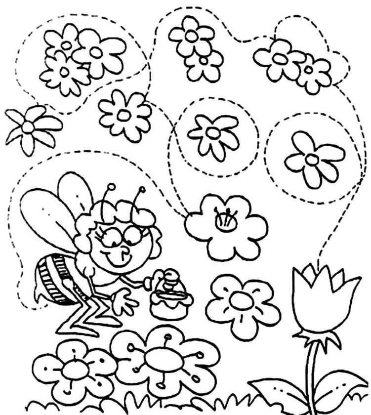 Dibujo para colorear: Margarita (Naturaleza) #161401 - Dibujos para Colorear e Imprimir Gratis