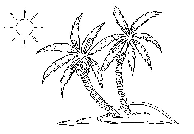 Dibujo para colorear: Palma (Naturaleza) #161114 - Dibujos para Colorear e Imprimir Gratis