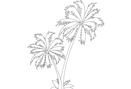 Dibujo para colorear: Palma (Naturaleza) #161122 - Dibujos para Colorear e Imprimir Gratis