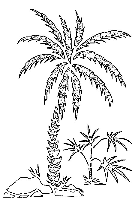 Dibujo para colorear: Palma (Naturaleza) #161123 - Dibujos para Colorear e Imprimir Gratis