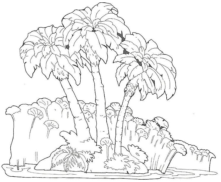 Dibujo para colorear: Palma (Naturaleza) #161126 - Dibujos para Colorear e Imprimir Gratis