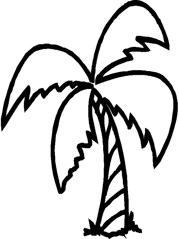 Dibujo para colorear: Palma (Naturaleza) #161128 - Dibujos para Colorear e Imprimir Gratis