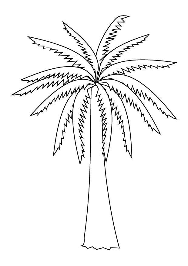 Dibujo para colorear: Palma (Naturaleza) #161137 - Dibujos para Colorear e Imprimir Gratis