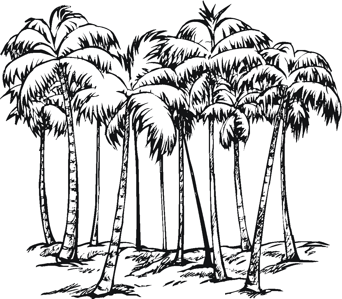 Dibujo para colorear: Palma (Naturaleza) #161177 - Dibujos para Colorear e Imprimir Gratis
