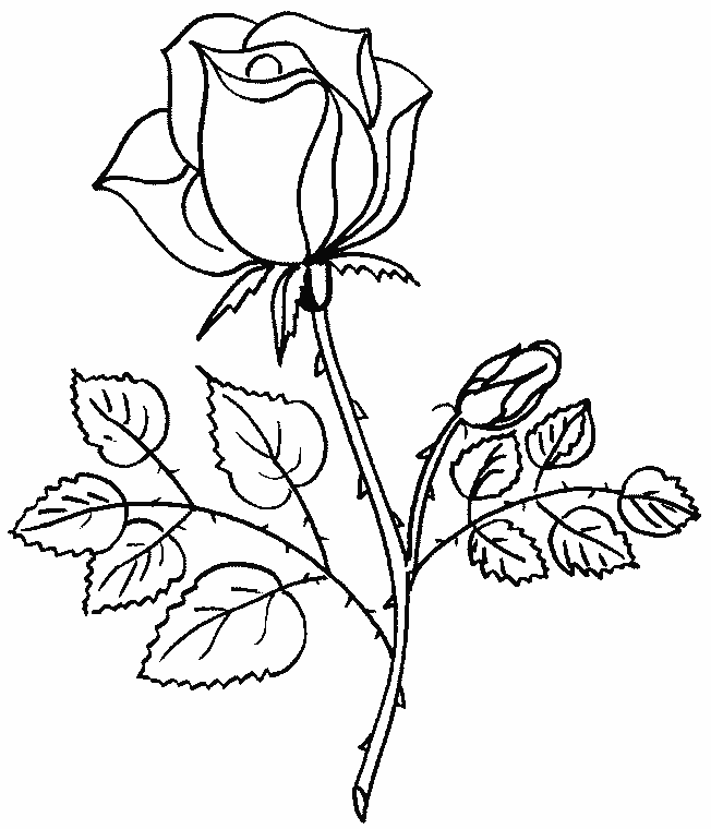 Dibujo para colorear: Ramo de flores (Naturaleza) #160736 - Dibujos para Colorear e Imprimir Gratis