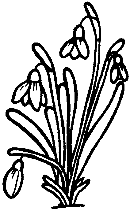 Dibujo para colorear: Ramo de flores (Naturaleza) #160845 - Dibujos para Colorear e Imprimir Gratis