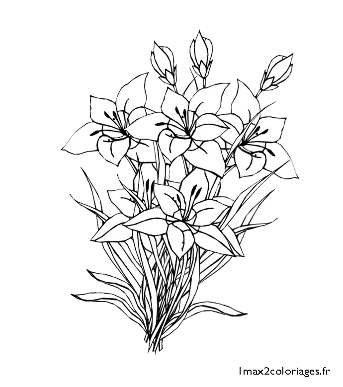 Dibujo para colorear: Ramo de flores (Naturaleza) #160865 - Dibujos para Colorear e Imprimir Gratis