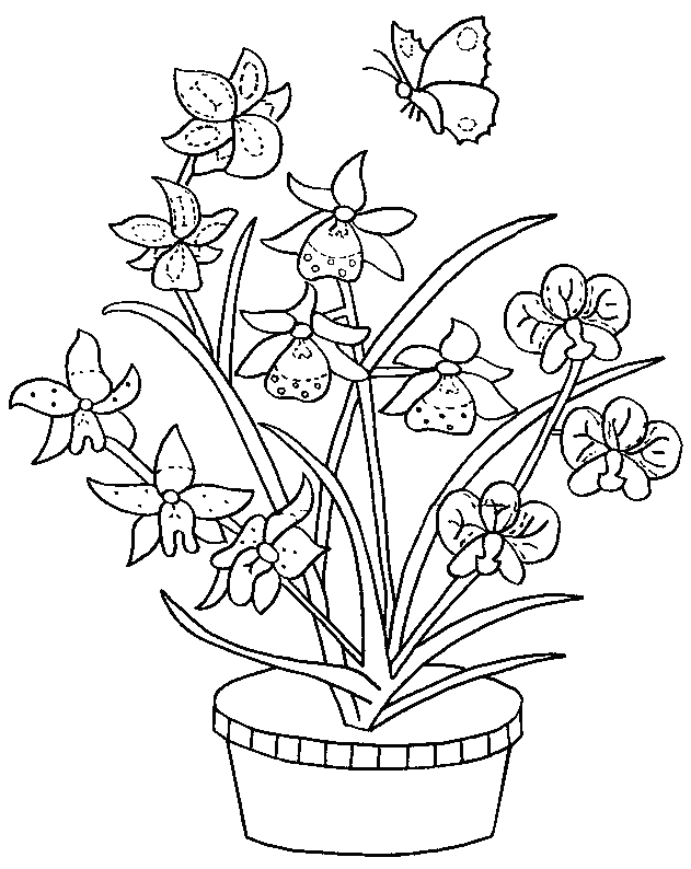 Dibujo para colorear: Ramo de flores (Naturaleza) #161091 - Dibujos para Colorear e Imprimir Gratis