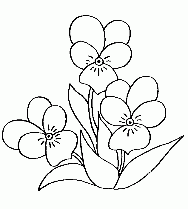 Dibujo para colorear: Ramo de flores (Naturaleza) #161093 - Dibujos para Colorear e Imprimir Gratis