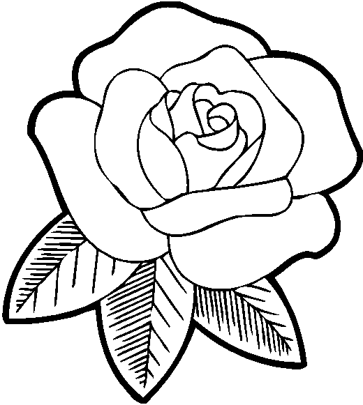 Dibujos de Rosas #161871 (Naturaleza) para colorear – Páginas imprimibles  gratis