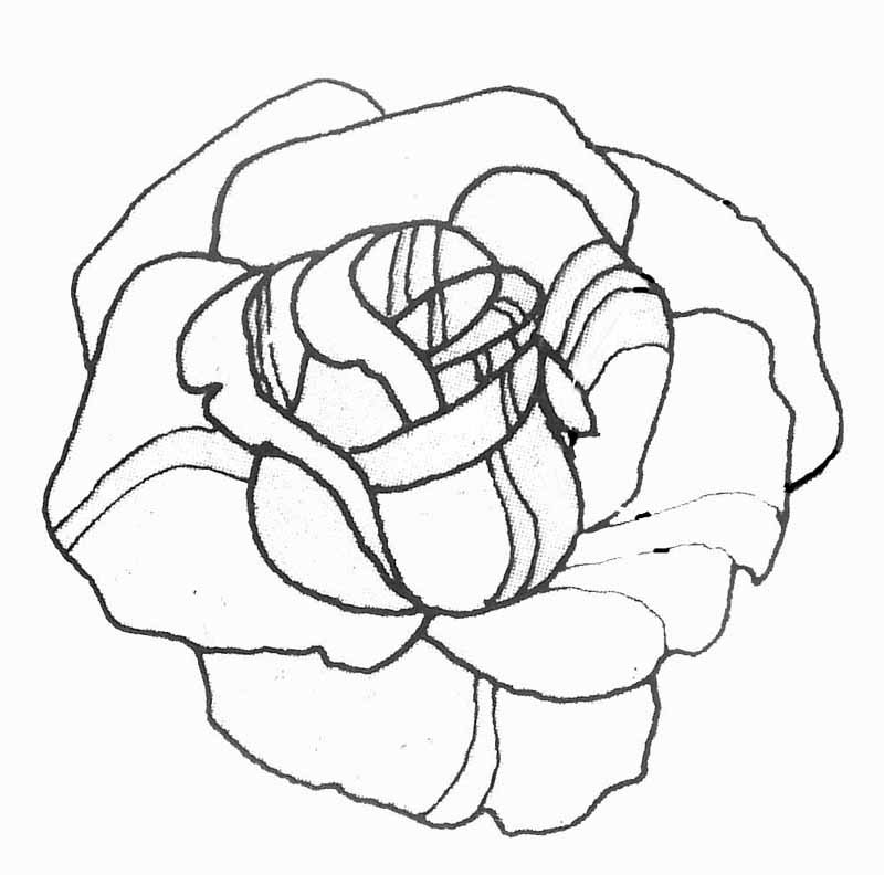 Dibujo para colorear: Rosas (Naturaleza) #161898 - Dibujos para Colorear e Imprimir Gratis