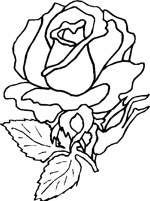 Dibujo para colorear: Rosas (Naturaleza) #161922 - Dibujos para Colorear e Imprimir Gratis