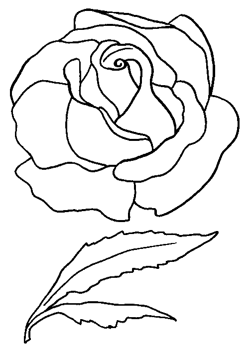 Dibujo para colorear: Rosas (Naturaleza) #161931 - Dibujos para Colorear e Imprimir Gratis