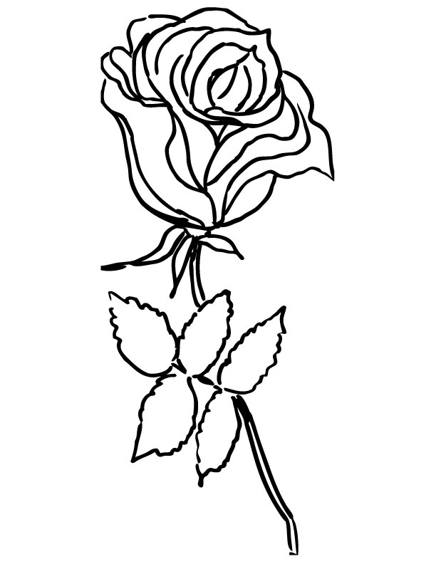 Dibujo para colorear: Rosas (Naturaleza) #161935 - Dibujos para Colorear e Imprimir Gratis