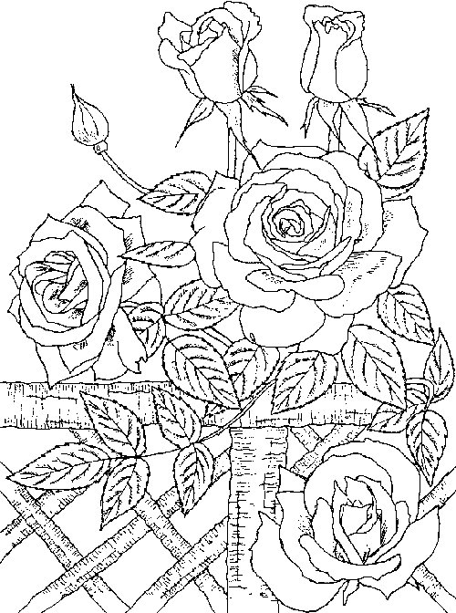 Dibujo para colorear: Rosas (Naturaleza) #161944 - Dibujos para Colorear e Imprimir Gratis