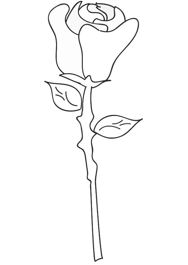 Dibujo para colorear: Rosas (Naturaleza) #161950 - Dibujos para Colorear e Imprimir Gratis