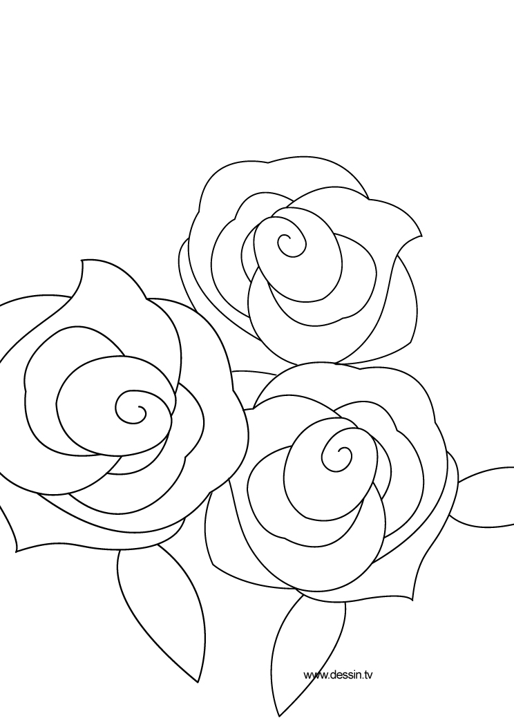 Dibujo para colorear: Rosas (Naturaleza) #161958 - Dibujos para Colorear e Imprimir Gratis