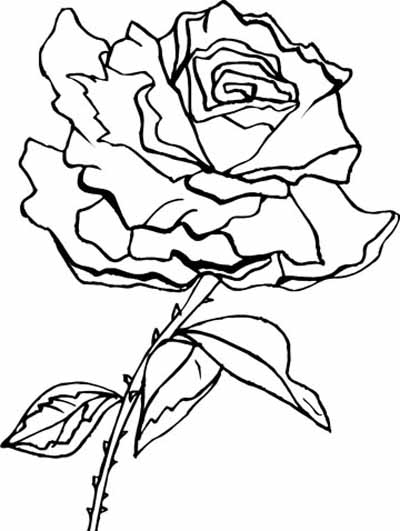 Dibujo para colorear: Rosas (Naturaleza) #161966 - Dibujos para Colorear e Imprimir Gratis