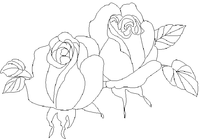 Dibujo para colorear: Rosas (Naturaleza) #161988 - Dibujos para Colorear e Imprimir Gratis