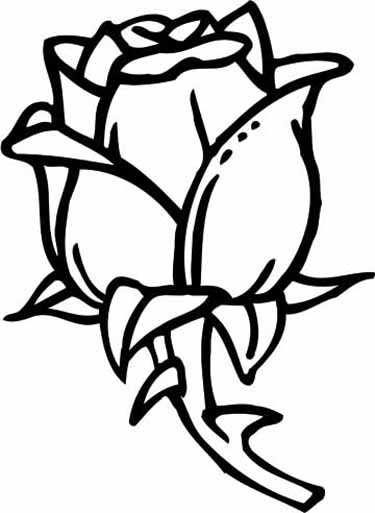 Dibujo para colorear: Rosas (Naturaleza) #162032 - Dibujos para Colorear e Imprimir Gratis