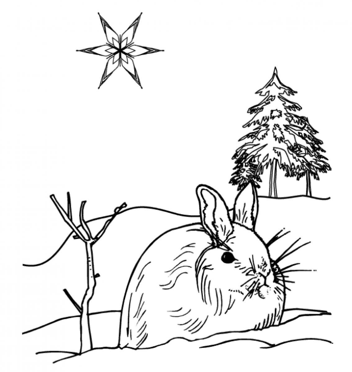 Dibujo para colorear: Temporada de Invierno (Naturaleza) #164716 - Dibujos para Colorear e Imprimir Gratis