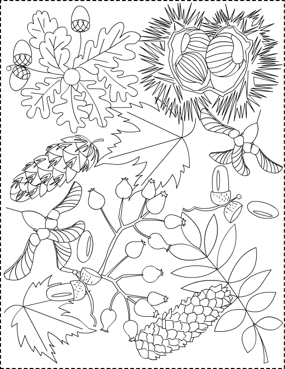 Dibujo para colorear: Temporada de Otoño (Naturaleza) #164066 - Dibujos para Colorear e Imprimir Gratis