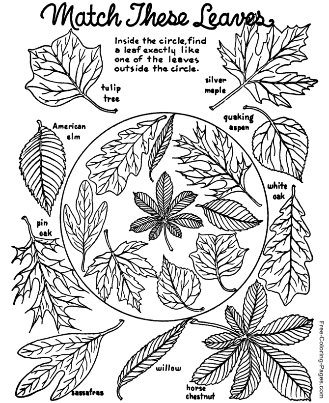 Dibujo para colorear: Temporada de Otoño (Naturaleza) #164089 - Dibujos para Colorear e Imprimir Gratis