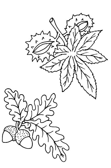 Dibujo para colorear: Temporada de Otoño (Naturaleza) #164091 - Dibujos para Colorear e Imprimir Gratis