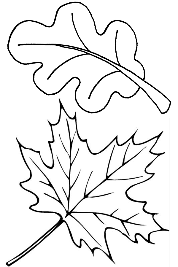 Dibujo para colorear: Temporada de Otoño (Naturaleza) #164093 - Dibujos para Colorear e Imprimir Gratis