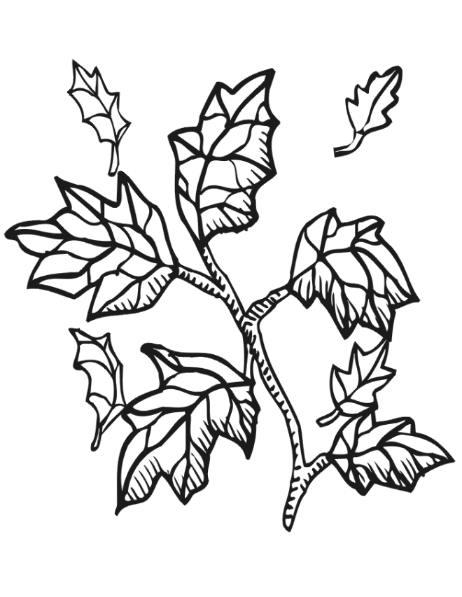 Dibujo para colorear: Temporada de Otoño (Naturaleza) #164107 - Dibujos para Colorear e Imprimir Gratis