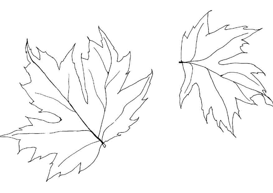 Dibujo para colorear: Temporada de Otoño (Naturaleza) #164140 - Dibujos para Colorear e Imprimir Gratis