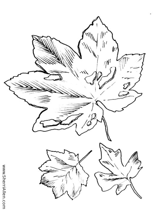 Dibujo para colorear: Temporada de Otoño (Naturaleza) #164145 - Dibujos para Colorear e Imprimir Gratis