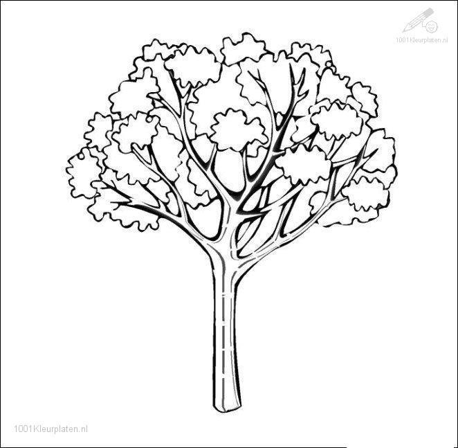 Dibujo para colorear: Temporada de Otoño (Naturaleza) #164163 - Dibujos para Colorear e Imprimir Gratis