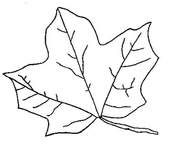 Dibujo para colorear: Temporada de Otoño (Naturaleza) #164173 - Dibujos para Colorear e Imprimir Gratis