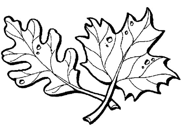 Dibujo para colorear: Temporada de Otoño (Naturaleza) #164195 - Dibujos para Colorear e Imprimir Gratis