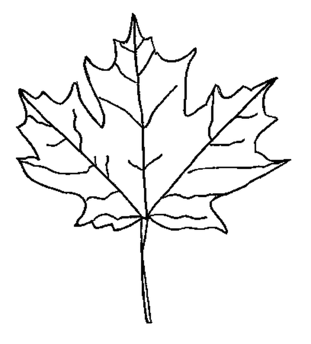 Dibujo para colorear: Temporada de Otoño (Naturaleza) #164244 - Dibujos para Colorear e Imprimir Gratis