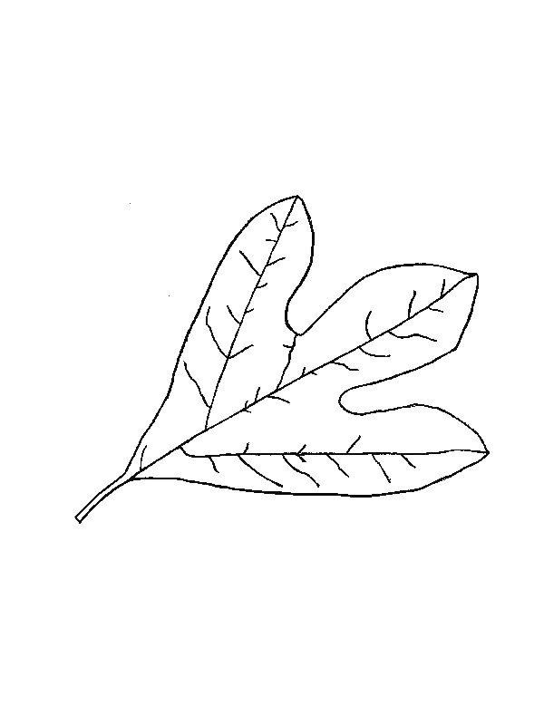 Dibujo para colorear: Temporada de Otoño (Naturaleza) #164264 - Dibujos para Colorear e Imprimir Gratis