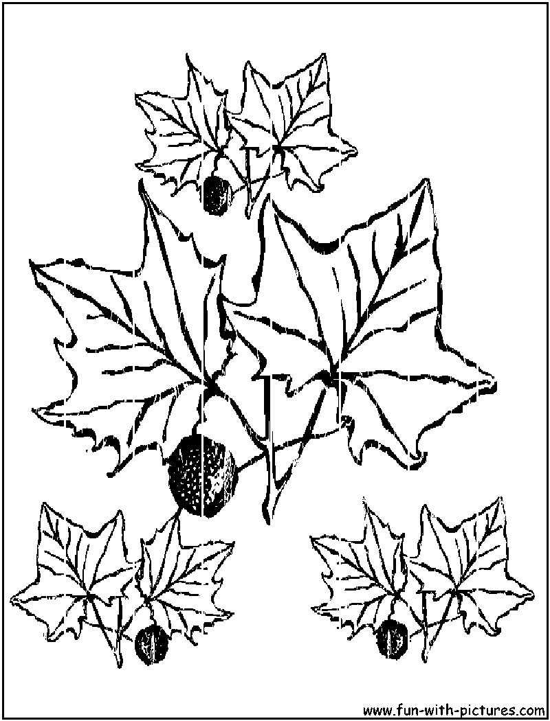 Dibujo para colorear: Temporada de Otoño (Naturaleza) #164271 - Dibujos para Colorear e Imprimir Gratis