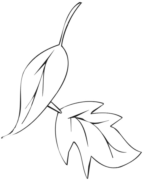 Dibujo para colorear: Temporada de Otoño (Naturaleza) #164284 - Dibujos para Colorear e Imprimir Gratis