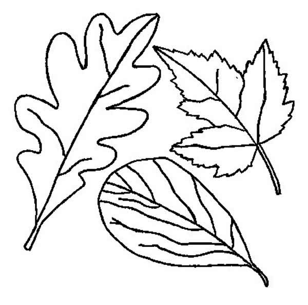 Dibujo para colorear: Temporada de Otoño (Naturaleza) #164295 - Dibujos para Colorear e Imprimir Gratis