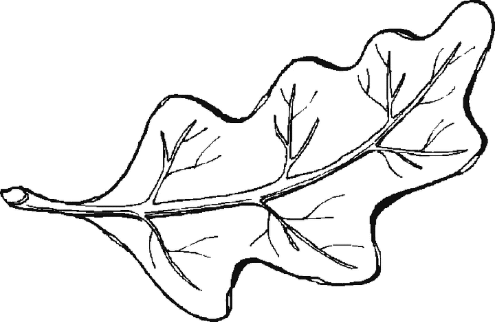 Dibujo para colorear: Temporada de Otoño (Naturaleza) #164299 - Dibujos para Colorear e Imprimir Gratis