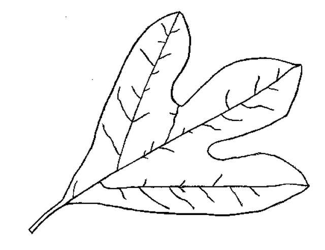 Dibujo para colorear: Temporada de Otoño (Naturaleza) #164302 - Dibujos para Colorear e Imprimir Gratis