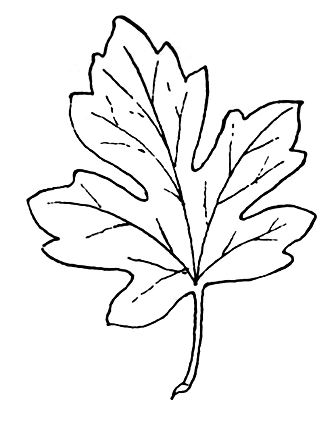 Dibujo para colorear: Temporada de Otoño (Naturaleza) #164317 - Dibujos para Colorear e Imprimir Gratis