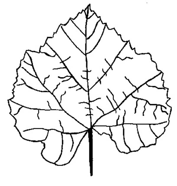 Dibujo para colorear: Temporada de Otoño (Naturaleza) #164330 - Dibujos para Colorear e Imprimir Gratis