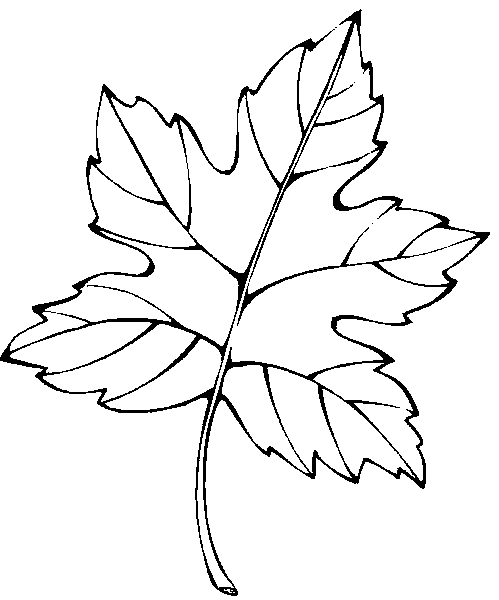 Dibujo para colorear: Temporada de Otoño (Naturaleza) #164351 - Dibujos para Colorear e Imprimir Gratis