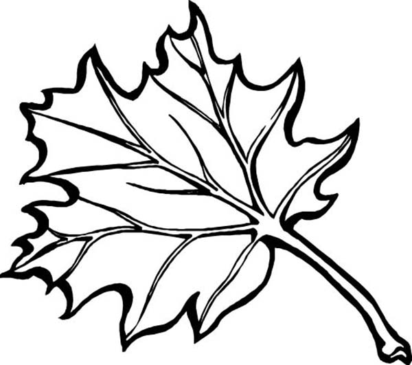 Dibujo para colorear: Temporada de Otoño (Naturaleza) #164357 - Dibujos para Colorear e Imprimir Gratis