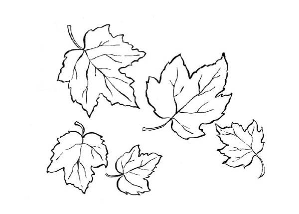 Dibujo para colorear: Temporada de Otoño (Naturaleza) #164376 - Dibujos para Colorear e Imprimir Gratis